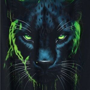 Men's Black and Green Graphic Shirt